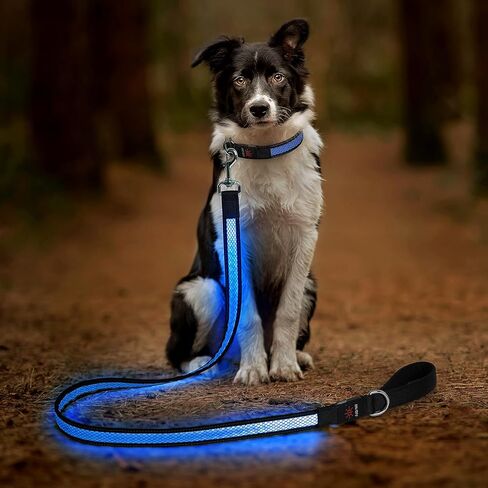 Candofly 4 قدم LED Dog Cog ، USB قابلة لإعادة الشحن مقود الكلب ، 3 أوضاع إضاءة ، توهج في نمط العسل النايلون العاكس الأليفة مع الأضواء للمشي الليل (الأزرق) in Kuwait