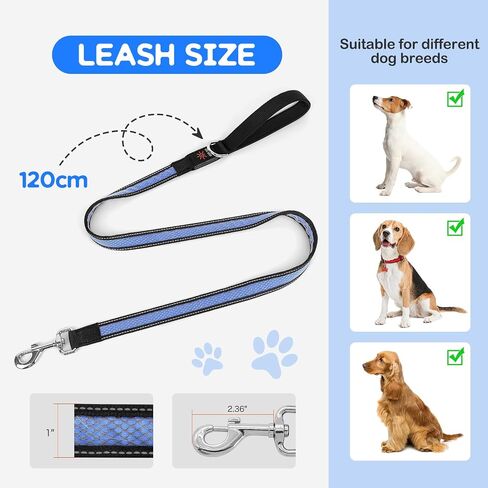Candofly 4 قدم LED Dog Cog ، USB قابلة لإعادة الشحن مقود الكلب ، 3 أوضاع إضاءة ، توهج في نمط العسل النايلون العاكس الأليفة مع الأضواء للمشي الليل (الأزرق) in Kuwait