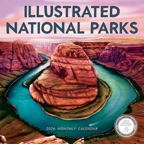 Night Forest 2026 | 12" x 24" Mystical Nature Calendar 12 Month | Marble City Press | Illustrations, Kids Calendars, Cute Animals, Gift for Children | 2026-2027 Calendar | Small Family Owned Business | Sustainable Plastic Free Packaging, Thick Art Paper in Kuwait