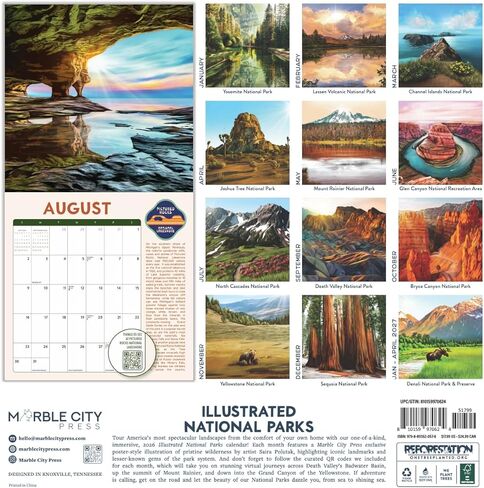 Night Forest 2026 | 12" x 24" Mystical Nature Calendar 12 Month | Marble City Press | Illustrations, Kids Calendars, Cute Animals, Gift for Children | 2026-2027 Calendar | Small Family Owned Business | Sustainable Plastic Free Packaging, Thick Art Paper in Kuwait