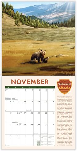 Night Forest 2026 | 12" x 24" Mystical Nature Calendar 12 Month | Marble City Press | Illustrations, Kids Calendars, Cute Animals, Gift for Children | 2026-2027 Calendar | Small Family Owned Business | Sustainable Plastic Free Packaging, Thick Art Paper in Kuwait