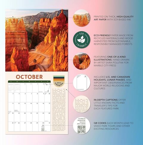 Night Forest 2026 | 12" x 24" Mystical Nature Calendar 12 Month | Marble City Press | Illustrations, Kids Calendars, Cute Animals, Gift for Children | 2026-2027 Calendar | Small Family Owned Business | Sustainable Plastic Free Packaging, Thick Art Paper in Kuwait