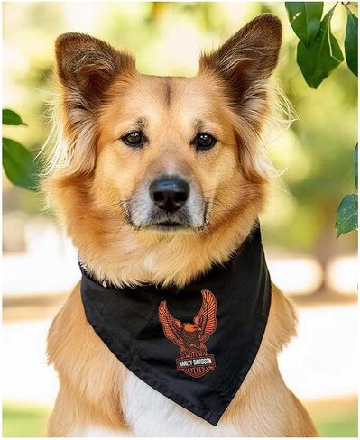 Harley-Davidson Bar & Shield Eagle Pet Tie Bandana - Large/X-Large, Black in Saudi Arabia