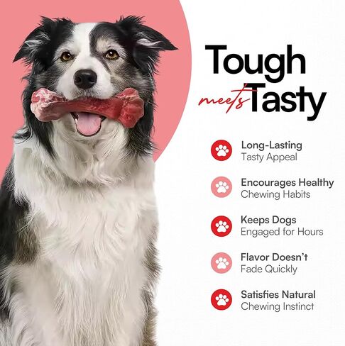 Indestructible Realistic Tough Dog Chew Toy – Natural Rubber Beef Flavor – Bone for Aggressive Chewers Long-Lasting, Teeth Cleaning, Safe & Non-Toxic (Medium) in Saudi Arabia