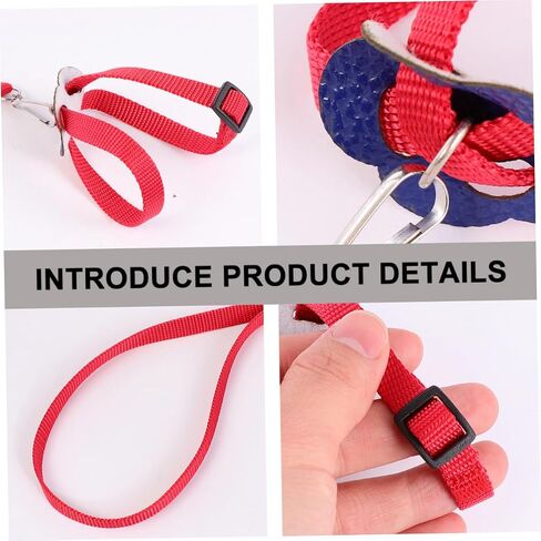 Garneck 1PC PET سحب حبل للطيور السلاحف الهامستر والملفات السحفية المقود الآمن للاستخدام في الهواء الطلق in Kuwait