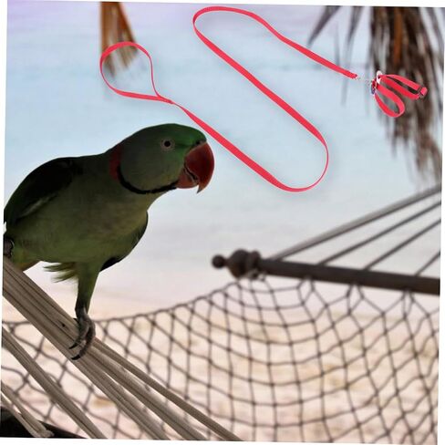 Garneck 1pc Pet Pulling Rope for Birds Hamsters Turtles and Lizards Safe Leash for Outdoor Use in Saudi Arabia