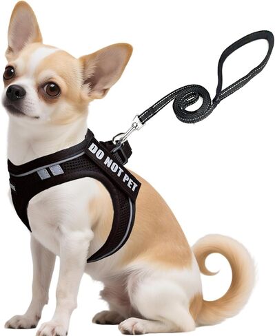 Service Dog Harness Vest Set Emotional Support Small Size Dog- 6PCS Removable Patches -Mesh Puppy Harness and Leash Set Training Red- M in Saudi Arabia