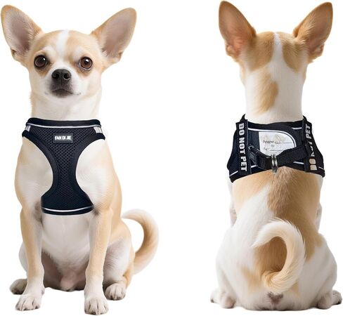 Service Dog Harness Vest Set Emotional Support Small Size Dog- 6PCS Removable Patches -Mesh Puppy Harness and Leash Set Training Red- M in Saudi Arabia