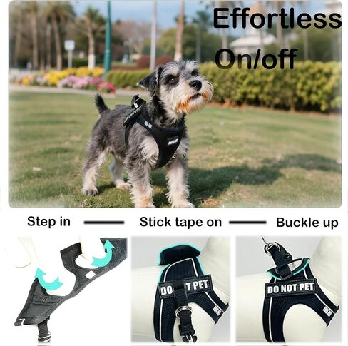 Service Dog Harness Vest Set Emotional Support Small Size Dog- 6PCS Removable Patches -Mesh Puppy Harness and Leash Set Training Red- M in Saudi Arabia