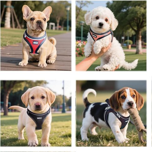 Service Dog Harness Vest Set Emotional Support Small Size Dog- 6PCS Removable Patches -Mesh Puppy Harness and Leash Set Training Red- M in Saudi Arabia