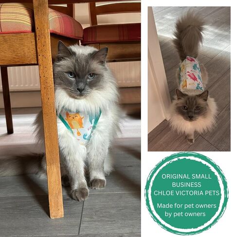 Cat Recovery Suit Surgical Onesie for Post Surgery/Neuter/Spay. Protection for Wounds and Skin infections for Male/Female Cats. Comfortable, Safe, (no Loose Cords) Cone Alternative (X-Large) in Saudi Arabia