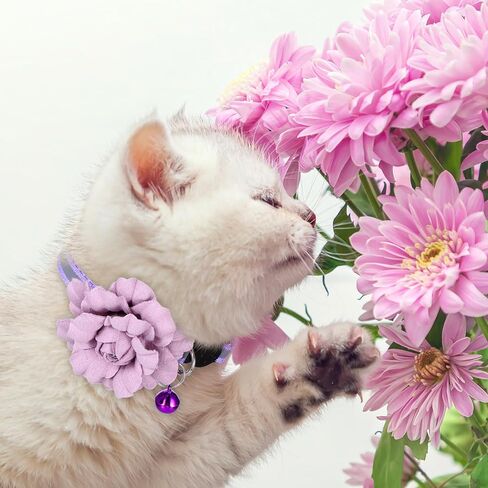 2 Pack Cute Cat Collar, Girls Cat Collars, Flexible Adjustable Floral Cats Bowtie Collar, Removable Kitten Collars with Bells for Boys Girls Cats Puppies Small Pets,Purple Pink in Kuwait