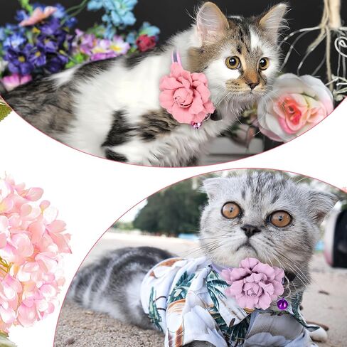 2 Pack Cute Cat Collar, Girls Cat Collars, Flexible Adjustable Floral Cats Bowtie Collar, Removable Kitten Collars with Bells for Boys Girls Cats Puppies Small Pets,Purple Pink in Kuwait