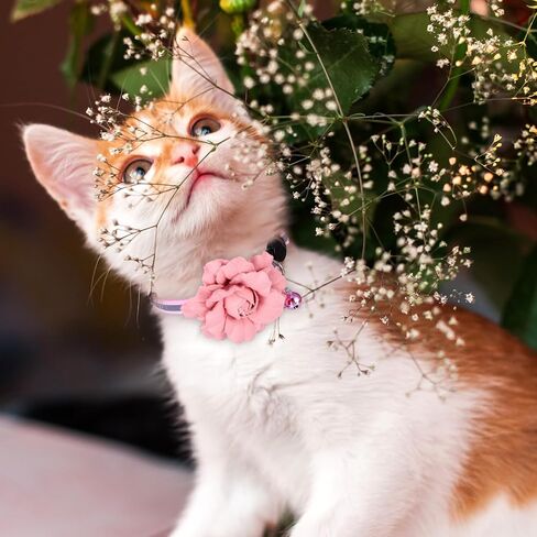 2 Pack Cute Cat Collar, Girls Cat Collars, Flexible Adjustable Floral Cats Bowtie Collar, Removable Kitten Collars with Bells for Boys Girls Cats Puppies Small Pets,Purple Pink in Kuwait