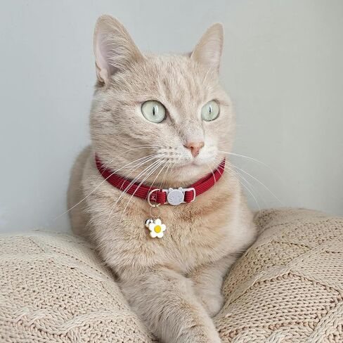 2 Pack Cat Collar with Bells, Corduroy Adjustable Kitten Collars with Breakaway Safety Buckle for Boy Girl Cats-Green Blue in Kuwait