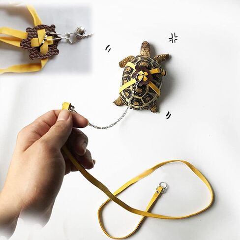 HQSSG Tortoise Tortoise Harness Leash - حزام من جلد الغزال الناعم وسلسلة الفولاذ المقاوم للصدأ - تسخير السلحفاة الجلدية للسلحفاة وحبل المشي للحيوانات الأليفة للحيوانات المتوسطة الصغيرة للقذائف حتى 7.9 "/15.7" in Saudi Arabia