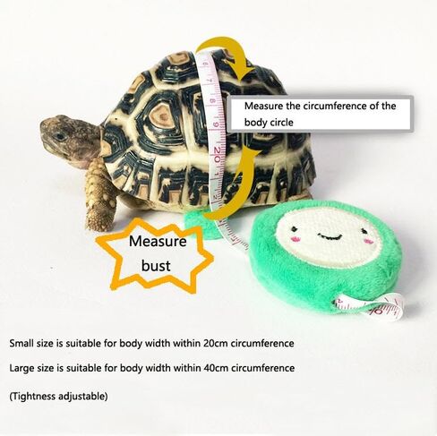 HQSSG Tortoise Tortoise Harness Leash - حزام من جلد الغزال الناعم وسلسلة الفولاذ المقاوم للصدأ - تسخير السلحفاة الجلدية للسلحفاة وحبل المشي للحيوانات الأليفة للحيوانات المتوسطة الصغيرة للقذائف حتى 7.9 "/15.7" in Saudi Arabia