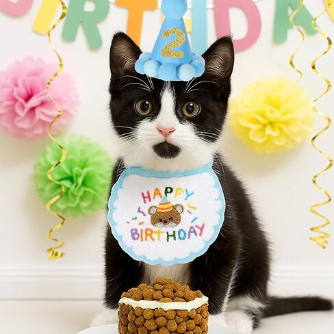 Cat Birthday Hat Outfit Party Decorations Set Bandana Scarf with Number, Party Hat Dog Costumes Cute Kitten Puppy Bib Scarf for Small Medium Cats & Doggy(Blue) in Saudi Arabia