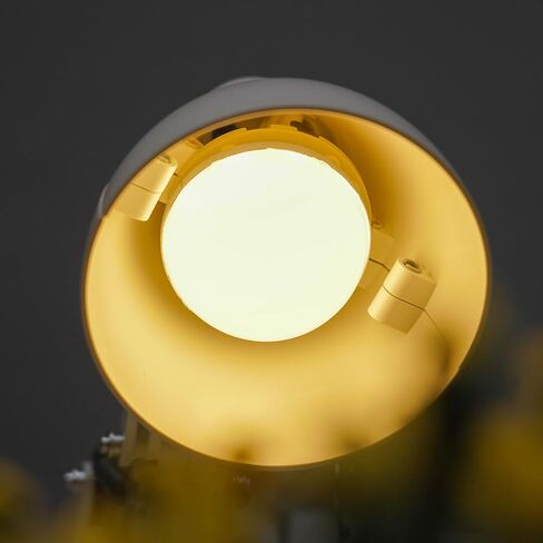 LED Lighting Compatible with Lego Pixar Luxo Jr. 21357，Light Kit Compatible with Lego Disney 21357,NOT Included The Model Set JUST Lights RC Version in Saudi Arabia
