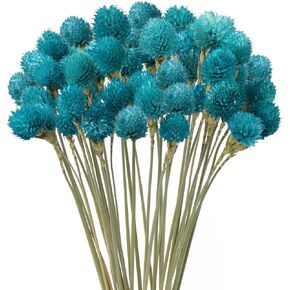 Dried Globe Amaranth Flower with Wheat Straw Natural - 40PCS Bouquet for Vase Home Decor Party DIY Arrangement (Orange)