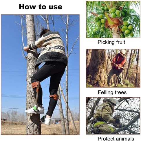 مسامير تسلق الأشجار من الفولاذ المقاوم للصدأ - وسادات رماحات الأشجار، أدوات تسلق خطوات التسلق، أداة مناسبة لمعدات صيد قطف الفاكهة وقطع الأشجار على ارتفاعات عالية in Kuwait