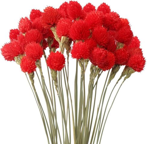 Dried Globe Amaranth Flower with Wheat Straw Natural - 40PCS Bouquet for Vase Home Decor Party DIY Arrangement (Orange) in Saudi Arabia