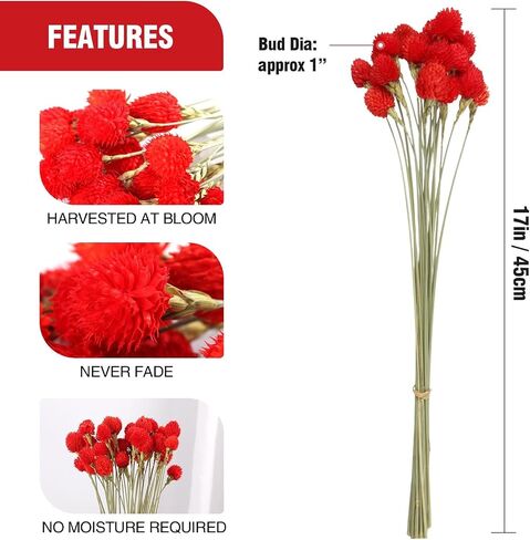 Dried Globe Amaranth Flower with Wheat Straw Natural - 40PCS Bouquet for Vase Home Decor Party DIY Arrangement (Orange) in Saudi Arabia