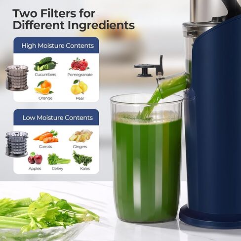Narcissus Cold Press Juicer, Compact Slow Masticating Juicer Machines with 3-inch Large Feed Chute, Small Juicer Machines for Vegetable and Fruit, Easy To Clean with Brush, 2 Filters, BPA Free, 150W in Kuwait