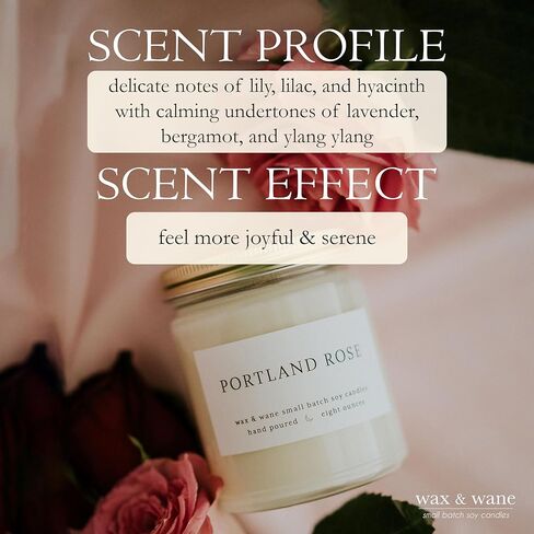 شمعة Wax & Wane French Peony الحديثة المصنوعة يدويًا بوزن 8 أونصة للرجال والنساء - شموع طويلة الاشتعال لأكثر من 40 ساعة للمنزل وغرفة النوم والحمام - شموع الصويا الطبيعية 100% مصنوعة في الولايات المتحدة الأمريكية in Kuwait