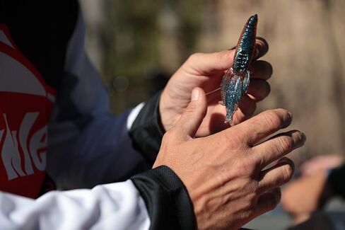 بيركلي باور بايت in Kuwait