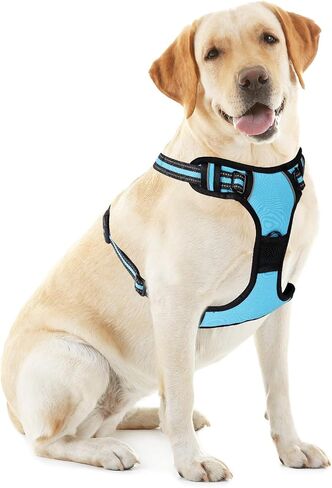 Blue No-Pull Dog Harness with 2 Leash Clips，Soft Padded Vest for Large Dog, Adjustable Reflective Dog Vest Easy to Put on and Take Off, (Neck: 17"~24", Chest: 24"~32",Blue L) in Kuwait
