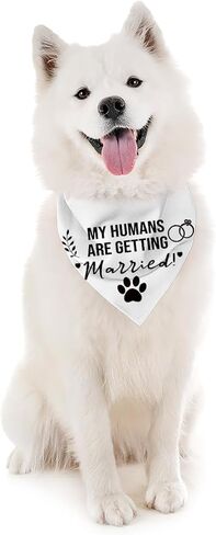 يتزوج البشر باندانا ، زفاف الكلاب باندانا ، حيوان أليف للكلاب الصغيرة المتوسطة ، بيج بيغ كيرشيف ، هدية لمحبي الكلاب ، مثلث وشاح الحيوانات الأليفة in Kuwait