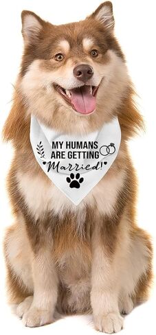 يتزوج البشر باندانا ، زفاف الكلاب باندانا ، حيوان أليف للكلاب الصغيرة المتوسطة ، بيج بيغ كيرشيف ، هدية لمحبي الكلاب ، مثلث وشاح الحيوانات الأليفة in Kuwait