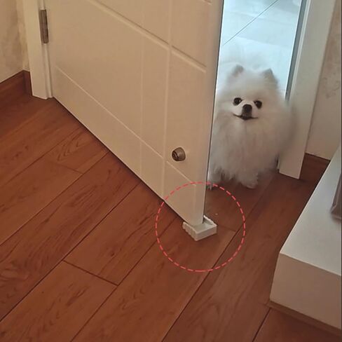 Two-Way Door Stoppers, Doorstop Wedge, Small Size Cube Rubber Door Stops,White 2PCS in Saudi Arabia