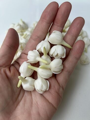 100 PCS أزهرت جزئيًا Pikake Jasmine Clay Flower (01) لمجوهرات صنع Lei Garland DIY Craft Supplies (White) in Saudi Arabia