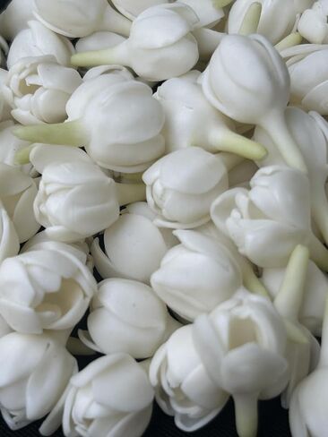100 PCS أزهرت جزئيًا Pikake Jasmine Clay Flower (01) لمجوهرات صنع Lei Garland DIY Craft Supplies (White) in Saudi Arabia