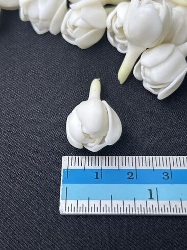 100 PCS أزهرت جزئيًا Pikake Jasmine Clay Flower (01) لمجوهرات صنع Lei Garland DIY Craft Supplies (White) in Saudi Arabia