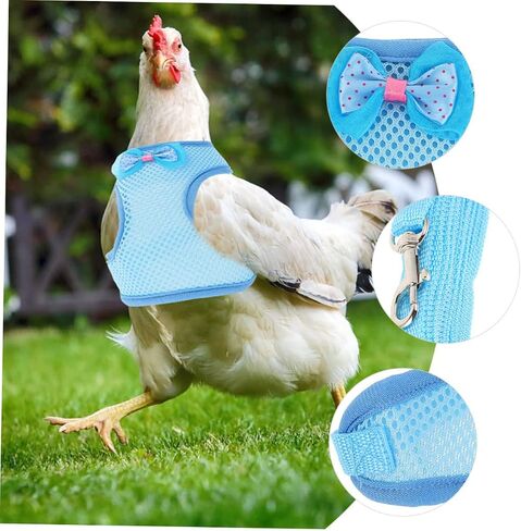 Garneck 2sets Pet Chicken Carrier Carier Carice Twiber Adosting Rooster Costume Vest Hen Leash in Saudi Arabia