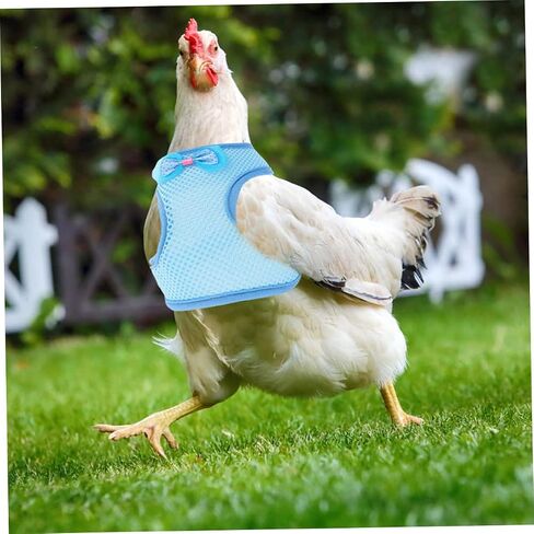 Garneck 2sets Pet Chicken Carrier Carier Carice Twiber Adosting Rooster Costume Vest Hen Leash in Saudi Arabia