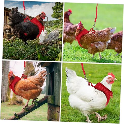 Garneck 2sets Pet Chicken Carrier Carier Carice Twiber Adosting Rooster Costume Vest Hen Leash in Saudi Arabia