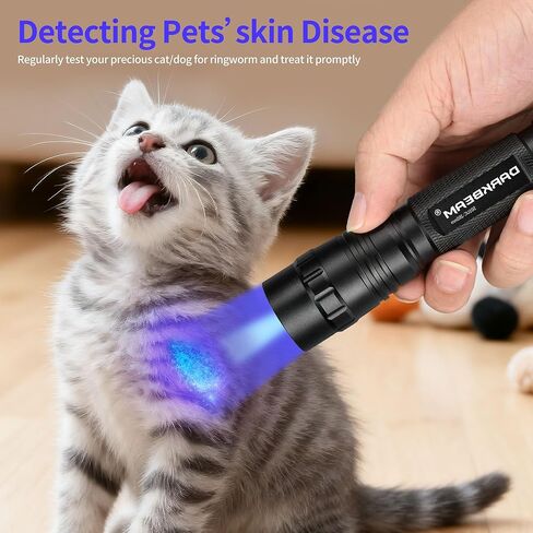 DARKBEAM UV Flashlight 365 nm Light Blacklight, Mini Powerful Wood’s Lamp USB-C Rechargeable, LED 10W Ultraviolet Flashlights Pocket Pet Urine Detector for Mineral, Uranium Glass, Resin Curing in Kuwait