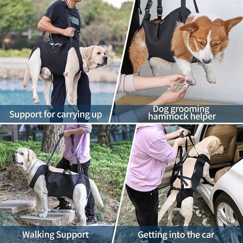 Dog Lifting Harness, Adjustable Full Body Support Sling for Large Dogs, Front and Rear Leg Mobility Aid for Elderly, Injured, Disabled, or Recovering Pets Walking Assistance (L) in Kuwait