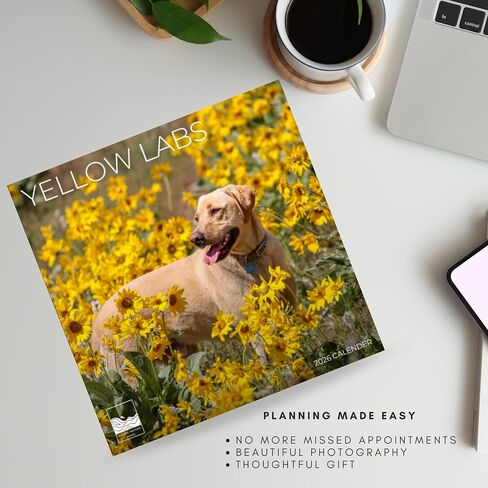 2026 Wall Calendar 12 Month | 12" x 24" Open | Dog Photography Thick & Sturdy Paper for Organizing & Planning | Office Kitchen Decor or Gift | Pacific Waters Press (Chihuahua) in Kuwait