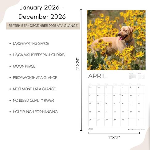 2026 Wall Calendar 12 Month | 12" x 24" Open | Dog Photography Thick & Sturdy Paper for Organizing & Planning | Office Kitchen Decor or Gift | Pacific Waters Press (Chihuahua) in Kuwait
