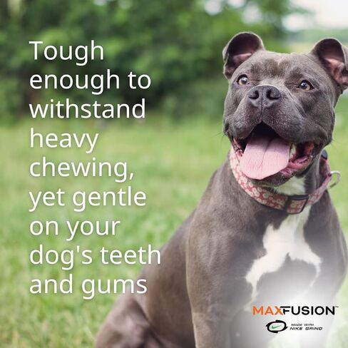 Max Fusion with Nike Grind ، Tug of War Dog Toy for Chewers - XL Chew Toys للكلاب الكبيرة ، لعبة الجرو التفاعلية في الهواء الطلق للتسنين واللعب والإثراء والتدريب وصحة الأسنان in Kuwait