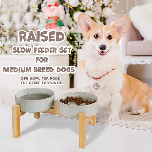 Elevated Slow Feeder Ceramic Dog Bowls Set for Meduim Size, Raised 2.7" Height, Cute Paw Slow Feeding Food Bowl and Water Bowl with Stand for Medium Breed, Size 6.3" Dx2 H, Non Slip, Grey in Kuwait