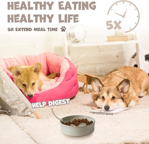 Elevated Slow Feeder Ceramic Dog Bowls Set for Meduim Size, Raised 2.7" Height, Cute Paw Slow Feeding Food Bowl and Water Bowl with Stand for Medium Breed, Size 6.3" Dx2 H, Non Slip, Grey in Kuwait