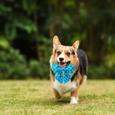 Maca Bates Summer Cute Duck Dog Collar with Bow Tie Funny Ducky Puppy Bowtie Collars Adjustable Durable Breakaway Green Fun Fancy Thick Collar for Boy Girl Male Female Dogs,Medium in Kuwait