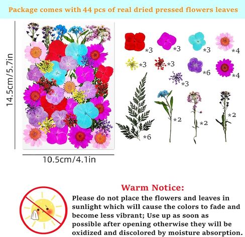 Cardstock Blank Bookmarks Set, 12 Pcs DIY White Craft Bookmarks for Pressed Flowers, Dried Floral Book Mark Making Kit with Pressed Flowers, Tassels, Book Marks for Dried Floral (Classic Style) in Saudi Arabia