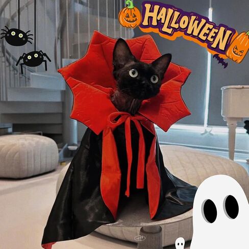 Cat/Dog Vampire Costume ، Funder Funcy Pet Pet Cape Cloak Cloak for Hitten & Small Medium Earge Dogs ، ارتداء ملابس لـ Halloween Cosplay (صغير) in Kuwait